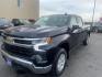 2023 GRAY CHEVROLET SILVERADO 1500 LT (3GCUDDED8PG) with an 5.3L engine, Automatic transmission, located at 2525 S. Cushman, Fairbanks, AK, 99701, (907) 452-5707, 64.824036, -147.712311 - Photo#1