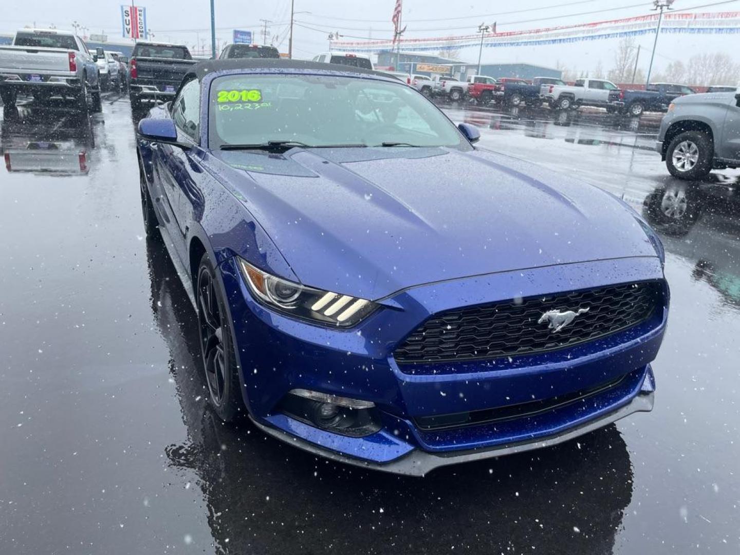 2016 BLUE FORD MUSTANG (1FATP8UH1G5) with an 2.3L engine, Automatic transmission, located at 2525 S. Cushman, Fairbanks, AK, 99701, (907) 452-5707, 64.824036, -147.712311 - Photo#0