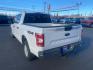 2020 WHITE FORD F150 SUPERCREW (1FTEW1E46LF) with an 3.5L engine, Automatic transmission, located at 2525 S. Cushman, Fairbanks, AK, 99701, (907) 452-5707, 64.824036, -147.712311 - Photo#3