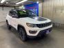 2020 WHITE JEEP COMPASS TRAILHAWK (3C4NJDDB4LT) with an 2.4L engine, Automatic transmission, located at 2525 S. Cushman, Fairbanks, AK, 99701, (907) 452-5707, 64.824036, -147.712311 - Photo#0