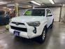 2022 WHITE TOYOTA 4RUNNER SR5 SR5/SR5 PREMIUM (JTEMU5JR0N6) with an 4.0L engine, Automatic transmission, located at 2525 S. Cushman, Fairbanks, AK, 99701, (907) 452-5707, 64.824036, -147.712311 - Photo#1