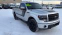 2014 SILVER FORD F150 (1FTMF1ET8EF) with an 3.5L engine, Automatic transmission, located at 2525 S. Cushman, Fairbanks, AK, 99701, (907) 452-5707, 64.824036, -147.712311 - Photo#1