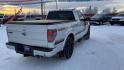 2014 SILVER FORD F150 (1FTMF1ET8EF) with an 3.5L engine, Automatic transmission, located at 2525 S. Cushman, Fairbanks, AK, 99701, (907) 452-5707, 64.824036, -147.712311 - Photo#3