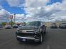 2023 BROWN CHEVROLET SILVERADO 1500 LT (1GCUDDED9PZ) with an 5.3L engine, Automatic transmission, located at 2525 S. Cushman, Fairbanks, AK, 99701, (907) 452-5707, 64.824036, -147.712311 - Photo#1