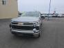 2023 SILVER CHEVROLET SILVERADO 1500 LT (1GCUDDED3PZ) with an 5.3L engine, Automatic transmission, located at 2525 S. Cushman, Fairbanks, AK, 99701, (907) 452-5707, 64.824036, -147.712311 - Photo#0