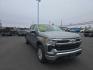 2023 SILVER CHEVROLET SILVERADO 1500 LT (1GCUDDED3PZ) with an 5.3L engine, Automatic transmission, located at 2525 S. Cushman, Fairbanks, AK, 99701, (907) 452-5707, 64.824036, -147.712311 - Photo#1