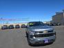 2023 GRAY CHEVROLET SILVERADO 1500 LT (1GCUDDED3PZ) with an 5.3L engine, Automatic transmission, located at 2525 S. Cushman, Fairbanks, AK, 99701, (907) 452-5707, 64.824036, -147.712311 - Photo#0