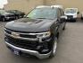 2023 GRAY CHEVROLET SILVERADO 1500 LT (1GCUDDED4PZ) with an 5.3L engine, Automatic transmission, located at 2525 S. Cushman, Fairbanks, AK, 99701, (907) 452-5707, 64.824036, -147.712311 - Photo#1