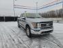 2023 GRAY FORD F150 SUPERCREW (1FTFW1E52PK) with an 5.0L engine, Automatic transmission, located at 2525 S. Cushman, Fairbanks, AK, 99701, (907) 452-5707, 64.824036, -147.712311 - Photo#3