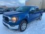 2023 BLUE FORD F150 SUPERCREW (1FTFW1E53PK) with an 5.0L engine, Automatic transmission, located at 2525 S. Cushman, Fairbanks, AK, 99701, (907) 452-5707, 64.824036, -147.712311 - Photo#0