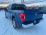 2023 BLUE FORD F150 SUPERCREW (1FTFW1E53PK) with an 5.0L engine, Automatic transmission, located at 2525 S. Cushman, Fairbanks, AK, 99701, (907) 452-5707, 64.824036, -147.712311 - Photo#3