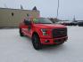2016 RED FORD F150 SUPERCREW (1FTEW1EFXGF) with an 5.0L engine, Automatic transmission, located at 2525 S. Cushman, Fairbanks, AK, 99701, (907) 452-5707, 64.824036, -147.712311 - Photo#2