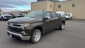 2023 BROWN CHEVROLET SILVERADO 1500 LT (1GCUDDED6PZ) with an 5.3L engine, Automatic transmission, located at 2525 S. Cushman, Fairbanks, AK, 99701, (907) 452-5707, 64.824036, -147.712311 - Photo#0