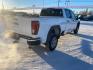 2020 WHITE GMC SIERRA 2500 HEAVY DUTY (1GT49LE73LF) with an 6.6L engine, Automatic transmission, located at 2525 S. Cushman, Fairbanks, AK, 99701, (907) 452-5707, 64.824036, -147.712311 - Photo#2