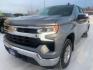 2023 SILVER CHEVROLET SILVERADO 1500 LT (1GCUDDED5PZ) with an 5.3L engine, Automatic transmission, located at 2525 S. Cushman, Fairbanks, AK, 99701, (907) 452-5707, 64.824036, -147.712311 - Photo#1