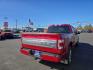2023 RED FORD F150 SUPERCREW (1FTFW1ED0PF) with an 3.5L engine, Automatic transmission, located at 2525 S. Cushman, Fairbanks, AK, 99701, (907) 452-5707, 64.824036, -147.712311 - Photo#10