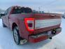 2023 RED FORD F150 SUPERCREW (1FTFW1ED0PF) with an 3.5L engine, Automatic transmission, located at 2525 S. Cushman, Fairbanks, AK, 99701, (907) 452-5707, 64.824036, -147.712311 - Photo#2