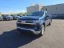 2023 BLUE CHEVROLET SILVERADO 1500 LT (3GCUDDE83PG) with an 3.0L engine, Automatic transmission, located at 2525 S. Cushman, Fairbanks, AK, 99701, (907) 452-5707, 64.824036, -147.712311 - Photo#0
