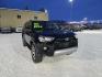 2022 BLACK TOYOTA 4RUNNER TRD Off-Road (JTEPU5JR7N6) with an 4.0L engine, Automatic transmission, located at 2525 S. Cushman, Fairbanks, AK, 99701, (907) 452-5707, 64.824036, -147.712311 - Photo#4