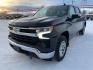 2022 BLUE CHEVROLET SILVERADO 1500 LT (3GCUDDED8NG) with an 5.3L engine, Automatic transmission, located at 2525 S. Cushman, Fairbanks, AK, 99701, (907) 452-5707, 64.824036, -147.712311 - Photo#1