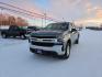 2021 GRAY CHEVROLET SILVERADO 1500 LT (3GCUYDEDXMG) with an 5.3L engine, Automatic transmission, located at 2525 S. Cushman, Fairbanks, AK, 99701, (907) 452-5707, 64.824036, -147.712311 - Photo#1