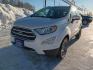 2021 WHITE FORD ECOSPORT TITANIUM (MAJ6S3KL9MC) with an 2.0L engine, Automatic transmission, located at 2525 S. Cushman, Fairbanks, AK, 99701, (907) 452-5707, 64.824036, -147.712311 - Photo#5