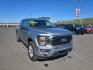 2023 GRAY FORD F150 SUPERCREW (1FTFW1E53PK) with an 5.0L engine, Automatic transmission, located at 2525 S. Cushman, Fairbanks, AK, 99701, (907) 452-5707, 64.824036, -147.712311 - Photo#0