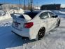 2020 WHITE SUBARU WRX STI (JF1VA2S61L9) with an 2.5L engine, 6-Speed Manual transmission, located at 2525 S. Cushman, Fairbanks, AK, 99701, (907) 452-5707, 64.824036, -147.712311 - Photo#2