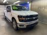 2024 GREY FORD F150 XLT (1FTFW3LD9RF) with an 3.5L engine, Automatic transmission, located at 2525 S. Cushman, Fairbanks, AK, 99701, (907) 452-5707, 64.824036, -147.712311- Photo#0