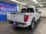 2024 WHITE FORD F150 XLT (1FTFW3LD9RF) with an 3.5L engine, Automatic transmission, located at 2525 S. Cushman, Fairbanks, AK, 99701, (907) 452-5707, 64.824036, -147.712311 - Photo#2