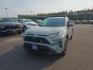 2020 GRAY TOYOTA RAV4 XLE (2T3RWRFVXLW) with an 2.5L engine, Continuously Variable transmission, located at 2525 S. Cushman, Fairbanks, AK, 99701, (907) 452-5707, 64.824036, -147.712311 - Photo#0