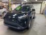 2024 BLACK TOYOTA RAV4 XLE PREMIUM (2T3A1RFV5RC) with an 2.5L engine, Automatic transmission, located at 2525 S. Cushman, Fairbanks, AK, 99701, (907) 452-5707, 64.824036, -147.712311 - Photo#1