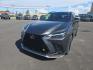 2022 GRAY LEXUS NX-F SPORT 350 (2T2KGCEZ0NC) with an 2.4L engine, Automatic transmission, located at 2525 S. Cushman, Fairbanks, AK, 99701, (907) 452-5707, 64.824036, -147.712311 - Photo#3