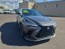 2022 GRAY LEXUS NX-F SPORT 350 (2T2KGCEZ0NC) with an 2.4L engine, Automatic transmission, located at 2525 S. Cushman, Fairbanks, AK, 99701, (907) 452-5707, 64.824036, -147.712311 - Photo#4