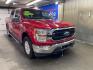 2021 RED FORD F150 SUPERCREW (1FTFW1E55MF) with an 5.0L engine, Automatic transmission, located at 2525 S. Cushman, Fairbanks, AK, 99701, (907) 452-5707, 64.824036, -147.712311 - Photo#0