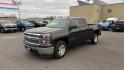 2014 GREY CHEVROLET SILVERADO 1500 LT (1GCRCREC7EZ) with an 5.3L engine, Automatic transmission, located at 2525 S. Cushman, Fairbanks, AK, 99701, (907) 452-5707, 64.824036, -147.712311 - Photo#0