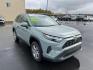 2023 GRAY TOYOTA RAV4 XLE XLE (2T3P1RFVXPW) with an 2.5L engine, Automatic transmission, located at 2525 S. Cushman, Fairbanks, AK, 99701, (907) 452-5707, 64.824036, -147.712311 - Photo#1