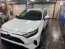 2023 WHITE TOYOTA RAV4 XLE XLE (2T3P1RFV8PW) with an 2.5L engine, Automatic transmission, located at 2525 S. Cushman, Fairbanks, AK, 99701, (907) 452-5707, 64.824036, -147.712311 - Photo#1