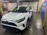 2023 WHITE TOYOTA RAV4 XLE XLE (2T3P1RFV3PW) with an 2.5L engine, Automatic transmission, located at 2525 S. Cushman, Fairbanks, AK, 99701, (907) 452-5707, 64.824036, -147.712311 - Photo#1