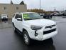 2023 WHITE TOYOTA 4RUNNER SE (JTEMU5JR0P6) with an 4.0L engine, Automatic transmission, located at 2525 S. Cushman, Fairbanks, AK, 99701, (907) 452-5707, 64.824036, -147.712311 - Photo#1