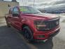 2024 RED FORD F150 STX STX (1FTEW2LP2RK) with an 2.7L engine, Automatic transmission, located at 2525 S. Cushman, Fairbanks, AK, 99701, (907) 452-5707, 64.824036, -147.712311 - Photo#0