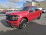 2024 RED FORD F150 STX STX (1FTEW2LP2RK) with an 2.7L engine, Automatic transmission, located at 2525 S. Cushman, Fairbanks, AK, 99701, (907) 452-5707, 64.824036, -147.712311 - Photo#1