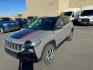2022 GRAY JEEP COMPASS TRAILHAWK (3C4NJDDB7NT) with an 2.4L engine, Automatic transmission, located at 2525 S. Cushman, Fairbanks, AK, 99701, (907) 452-5707, 64.824036, -147.712311 - Photo#1
