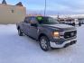 2023 SILVER FORD F150 SUPERCREW (1FTFW1E58PK) with an 5.0L engine, Automatic transmission, located at 2525 S. Cushman, Fairbanks, AK, 99701, (907) 452-5707, 64.824036, -147.712311 - Photo#1