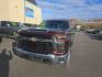 2024 BROWN CHEVROLET SILVERADO 2500 HEAVY DUTY LT (1GC4YNE71RF) with an 6.6L engine, Automatic transmission, located at 2525 S. Cushman, Fairbanks, AK, 99701, (907) 452-5707, 64.824036, -147.712311 - Photo#2