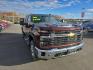 2024 BROWN CHEVROLET SILVERADO 2500 HEAVY DUTY LT (1GC4YNE71RF) with an 6.6L engine, Automatic transmission, located at 2525 S. Cushman, Fairbanks, AK, 99701, (907) 452-5707, 64.824036, -147.712311 - Photo#4