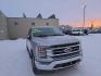 2023 SILVER FORD F150 SUPERCREW (1FTFW1E58PK) with an 5.0L engine, Automatic transmission, located at 2525 S. Cushman, Fairbanks, AK, 99701, (907) 452-5707, 64.824036, -147.712311 - Photo#1