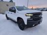 2019 WHITE CHEVROLET SILVERADO 1500 LT TRAIL BOSS (1GCPYFED8KZ) with an 5.3L engine, Automatic transmission, located at 2525 S. Cushman, Fairbanks, AK, 99701, (907) 452-5707, 64.824036, -147.712311 - Photo#0