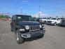 2020 BLACK JEEP WRANGLER UNLIMI SAHARA (1C4HJXEN4LW) with an 2.0L engine, Automatic transmission, located at 2525 S. Cushman, Fairbanks, AK, 99701, (907) 452-5707, 64.824036, -147.712311- Photo#1