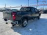 2023 BLACK CHEVROLET SILVERADO 2500 HEAVY DUTY LT (1GC4YNEY7PF) with an 6.6L engine, Automatic transmission, located at 2525 S. Cushman, Fairbanks, AK, 99701, (907) 452-5707, 64.824036, -147.712311 - Photo#2